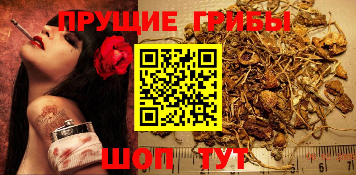 Галлюциногенные грибы Cubensis  Вход с VPN  Снежинск 